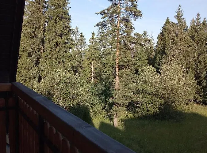 Privatunterkunft Nad Lasem